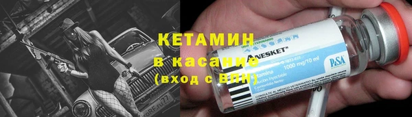 прущие грибы Арсеньев