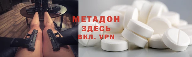 прущие грибы Арсеньев