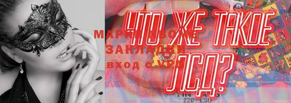 прущие грибы Арсеньев
