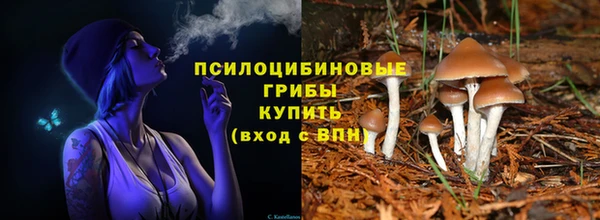 прущие грибы Арсеньев