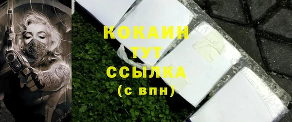 прущие грибы Арсеньев