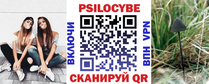 купить  сайты  Старая Русса  Галлюциногенные грибы GOLDEN TEACHER 